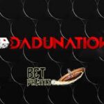 ddnz8889