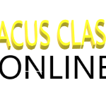 meganchung172